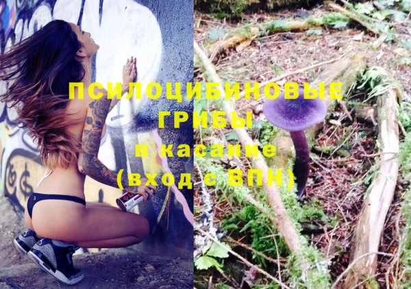 крисы Балабаново